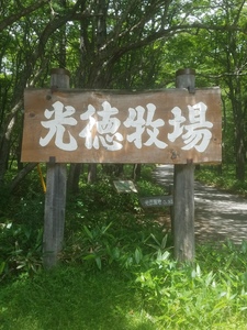 牧場A.jpg