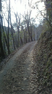 2017011514030002.jpg