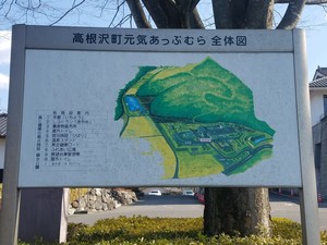 20190129_123512.jpg