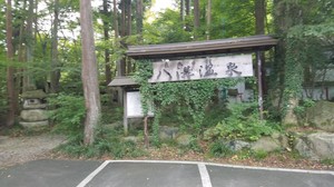 20190919_113031.jpg