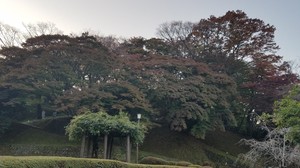20191106_161222.jpg