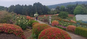 20240506_132147.jpg