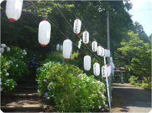 成田画像 21年7−A.jpg