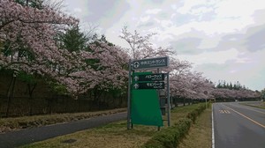 画像@(2021.4月).jpg