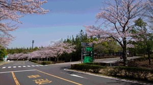 画像A(2021.4月).jpg
