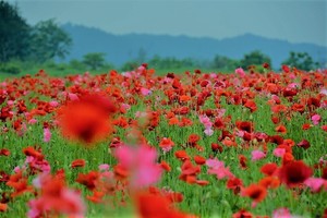 画像5−1.jpg