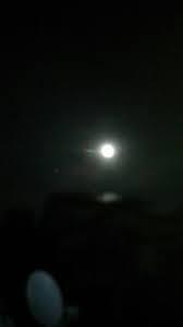 直美H31.1-1.jpg