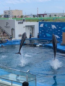IMG_2338.jpg