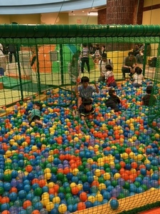 image2.jpeg